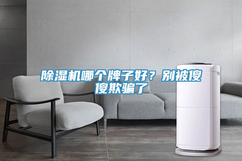 除湿机哪个牌子好？别被傻傻欺骗了