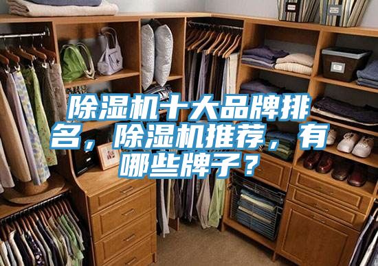 除湿机十大品牌排名，除湿机推荐，有哪些牌子？