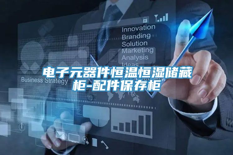 电子元器件恒温恒湿储藏柜-配件保存柜