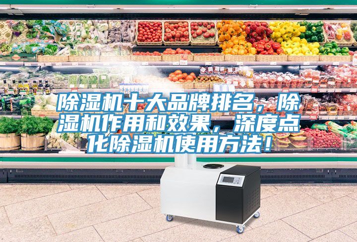 除湿机十大品牌排名，除湿机作用和效果，深度点化除湿机使用方法！