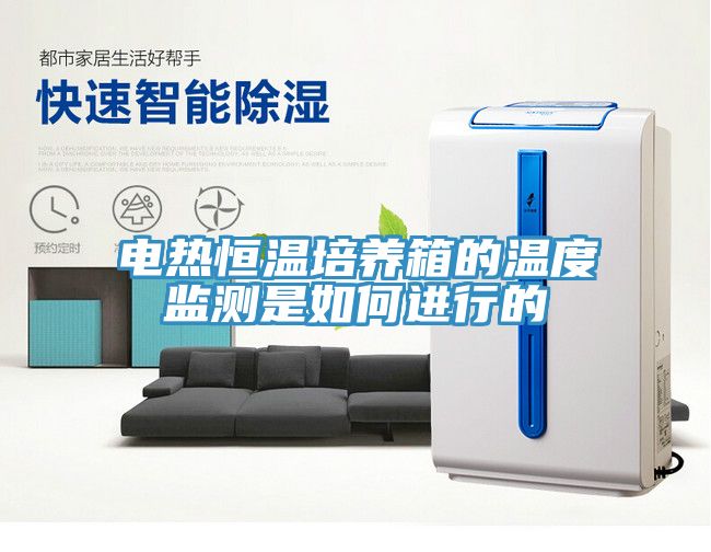 电热恒温培养箱的温度监测是如何进行的