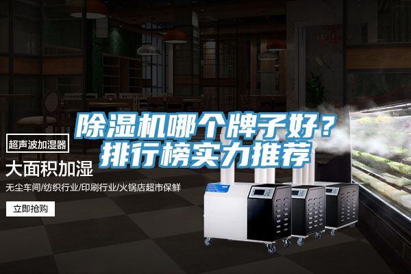 除湿机哪个牌子好？排行榜实力推荐