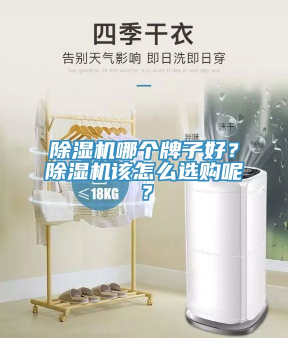 除湿机哪个牌子好？除湿机该怎么选购呢？