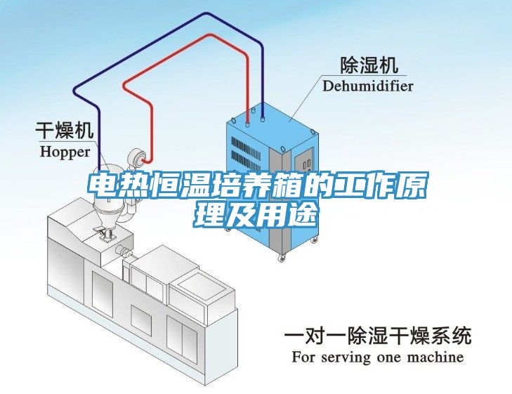 电热恒温培养箱的工作原理及用途