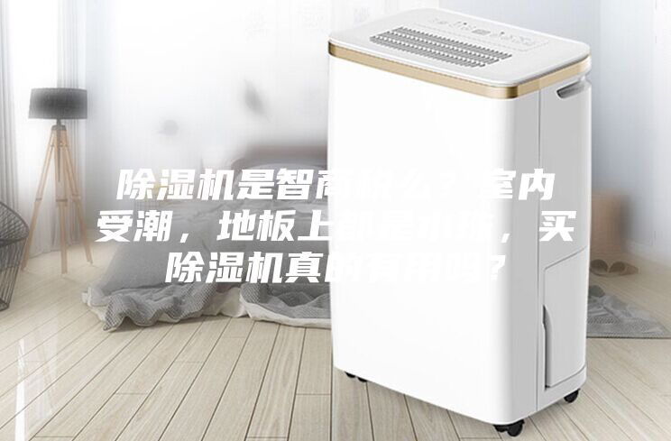 除湿机是智商税么？室内受潮，地板上都是水珠，买除湿机真的有用吗？