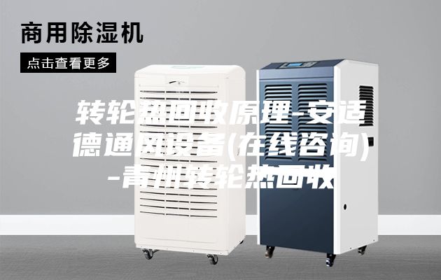 转轮热回收原理-安适德通风设备(在线咨询)-青州转轮热回收