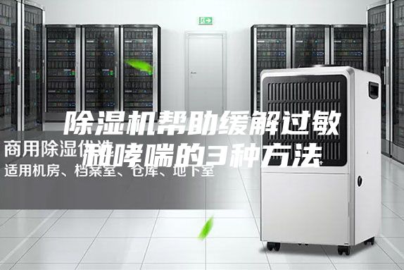 除湿机帮助缓解过敏和哮喘的3种方法