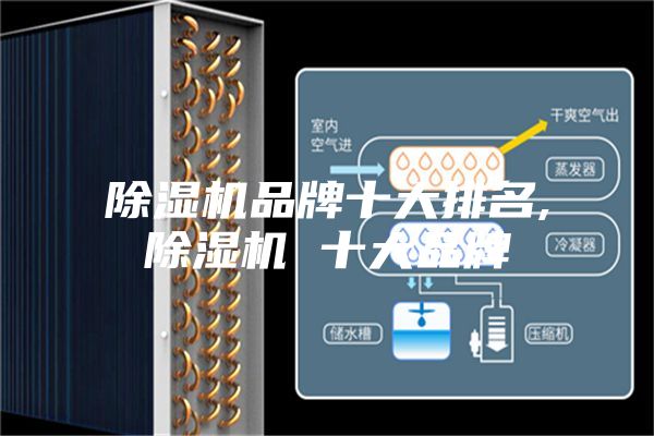 除湿机品牌十大排名,除湿机 十大品牌
