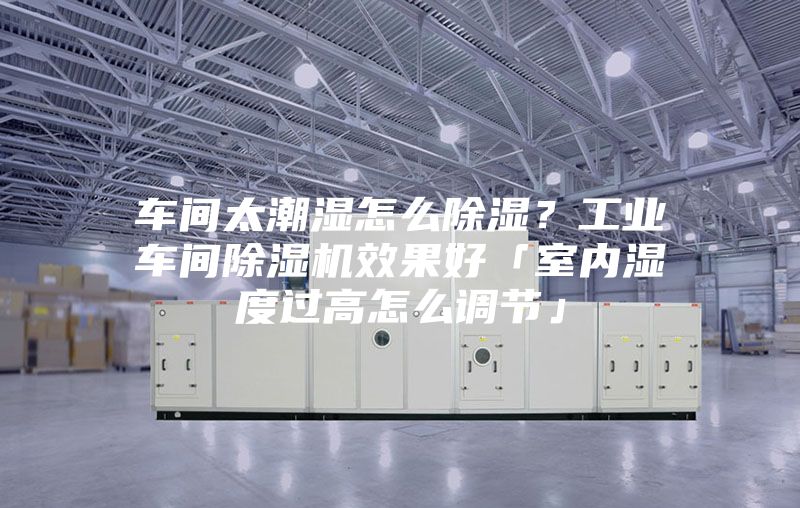 车间太潮湿怎么除湿？工业车间除湿机效果好「室内湿度过高怎么调节」