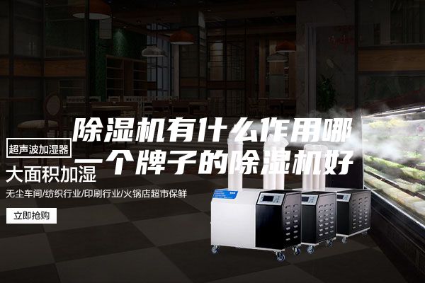 除湿机有什么作用哪一个牌子的除湿机好