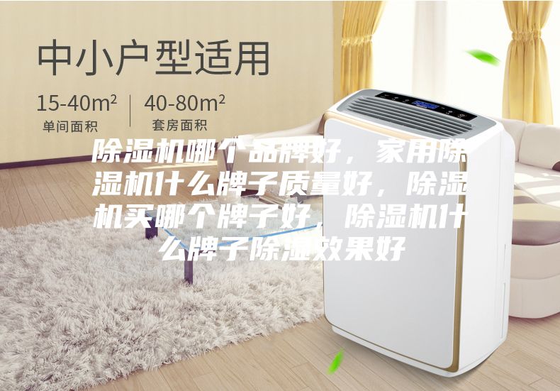 除湿机哪个品牌好，家用除湿机什么牌子质量好，除湿机买哪个牌子好，除湿机什么牌子除湿效果好