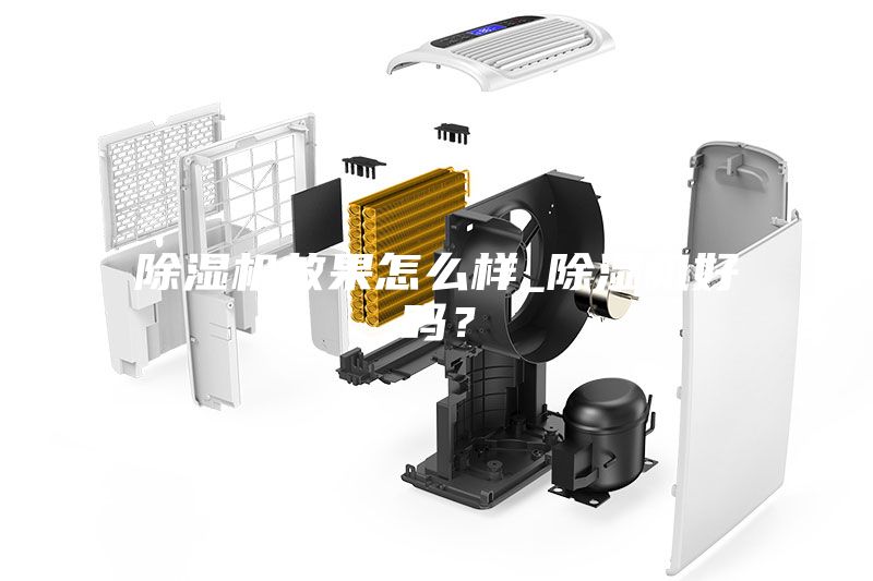 除湿机效果怎么样_除湿机好吗？
