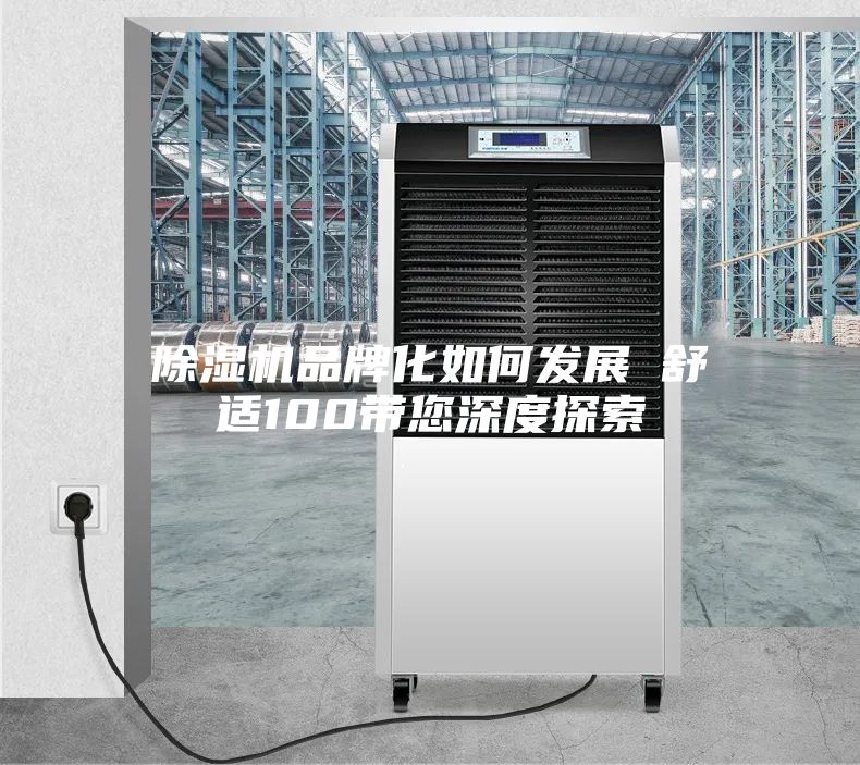 除湿机品牌化如何发展　　舒适100带您深度探索