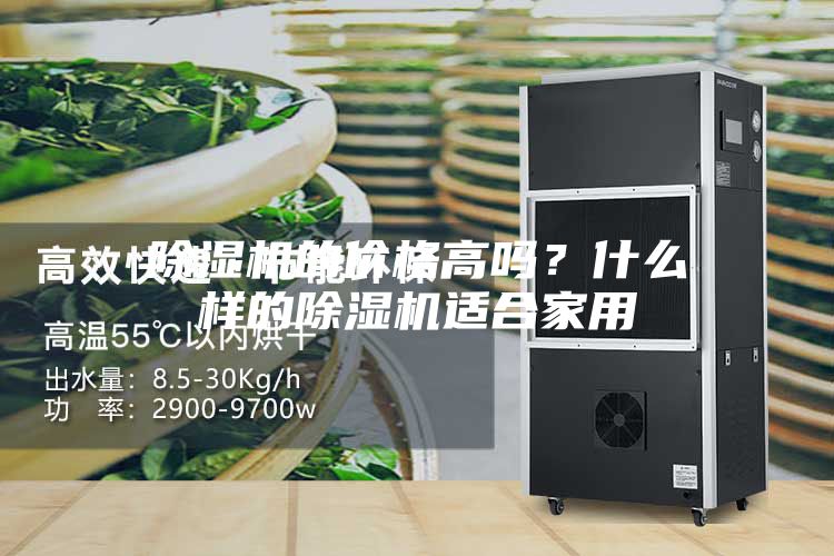 除湿机的价格高吗？什么样的除湿机适合家用
