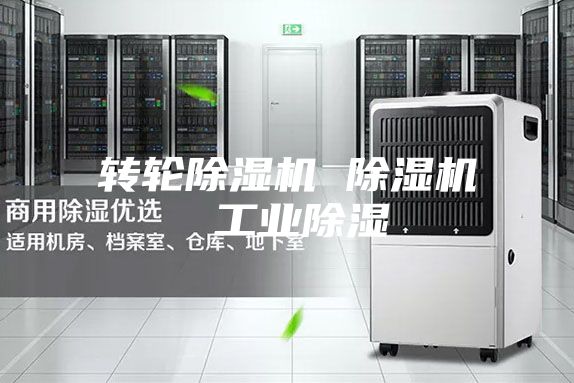 转轮除湿机 除湿机 工业除湿