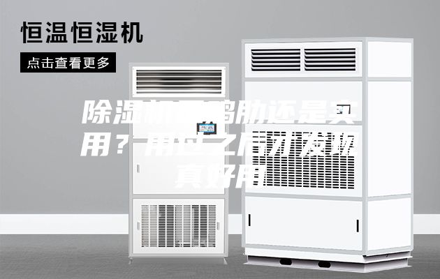 除湿机是鸡肋还是实用？用过之后才发现真好用