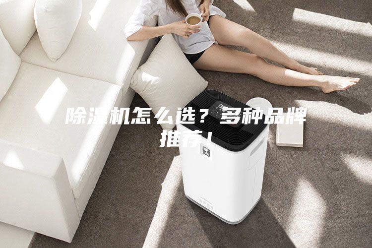 除湿机怎么选？多种品牌推荐！