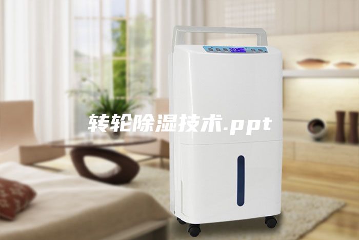 转轮除湿技术.ppt