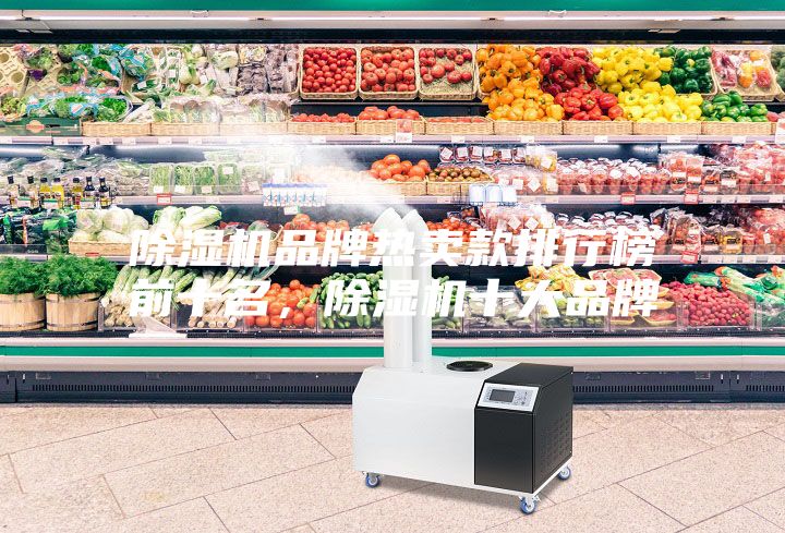 除湿机品牌热卖款排行榜前十名，除湿机十大品牌