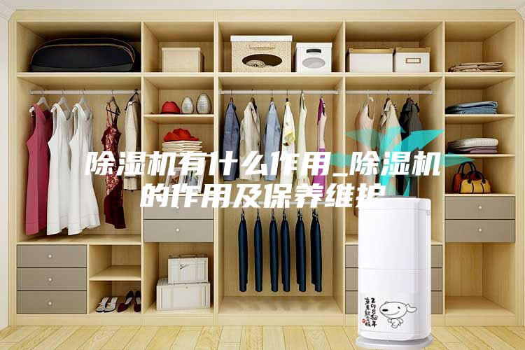 除湿机有什么作用_除湿机的作用及保养维护