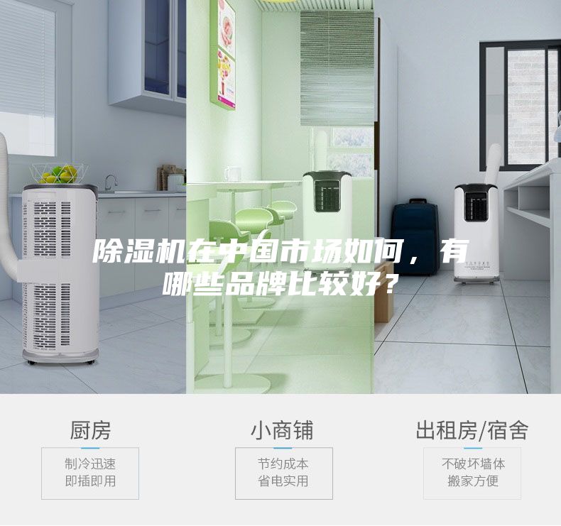 除湿机在中国市场如何，有哪些品牌比较好？
