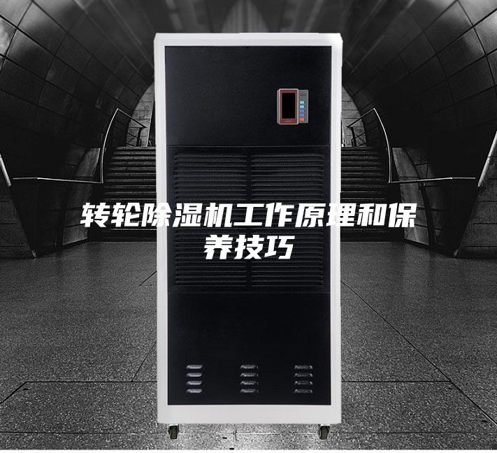 转轮除湿机工作原理和保养技巧