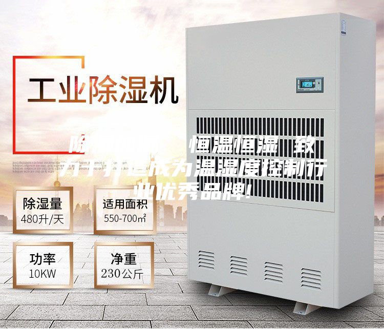 除湿加湿  恒温恒湿 致力于打造成为温湿度控制行业优秀品牌!