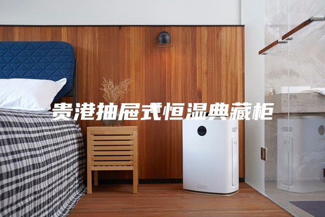贵港抽屉式恒湿典藏柜