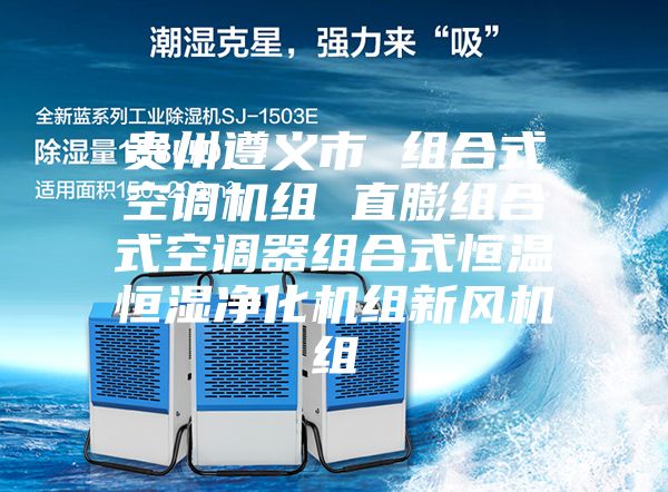 贵州遵义市 组合式空调机组 直膨组合式空调器组合式恒温恒湿净化机组新风机组