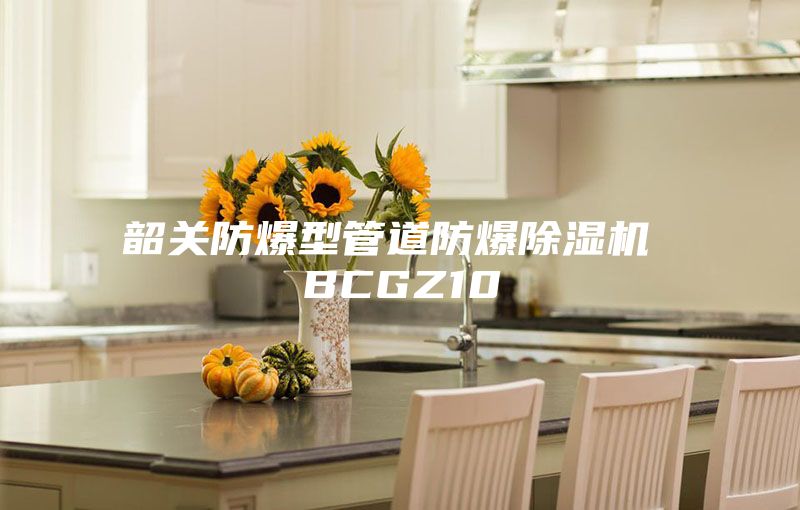 韶关防爆型管道防爆除湿机 BCGZ10