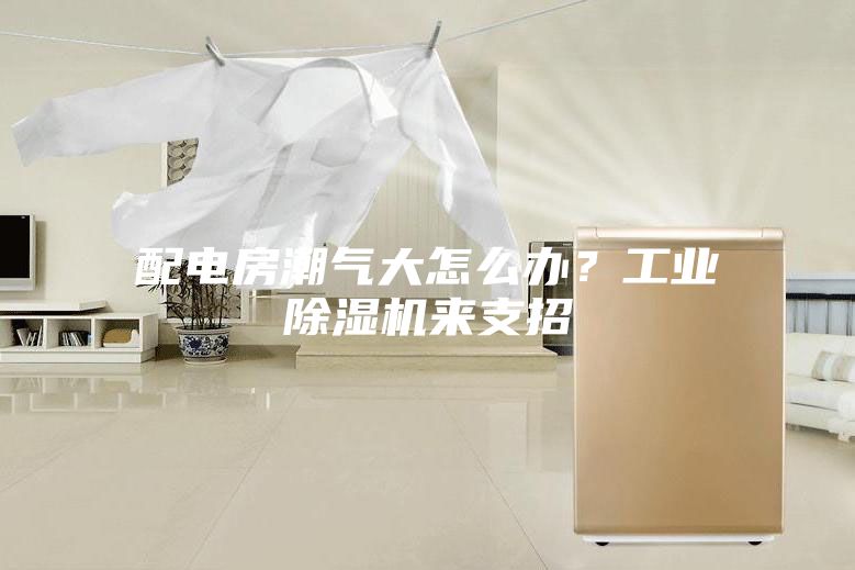 配电房潮气大怎么办？工业除湿机来支招