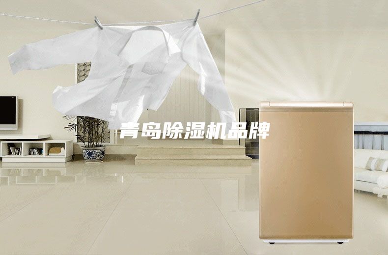 青岛除湿机品牌