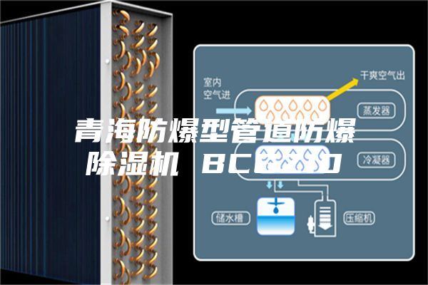 青海防爆型管道防爆除湿机 BCGZ10