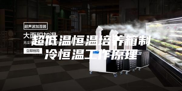 超低温恒温培养箱制冷恒温工作原理