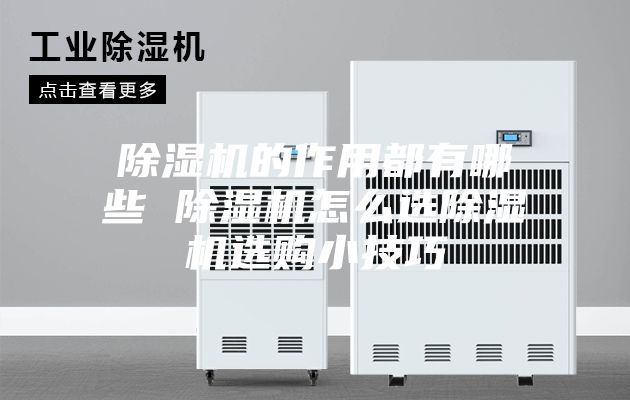除湿机的作用都有哪些 除湿机怎么选除湿机选购小技巧