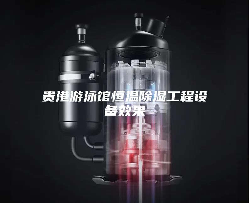 贵港游泳馆恒温除湿工程设备效果