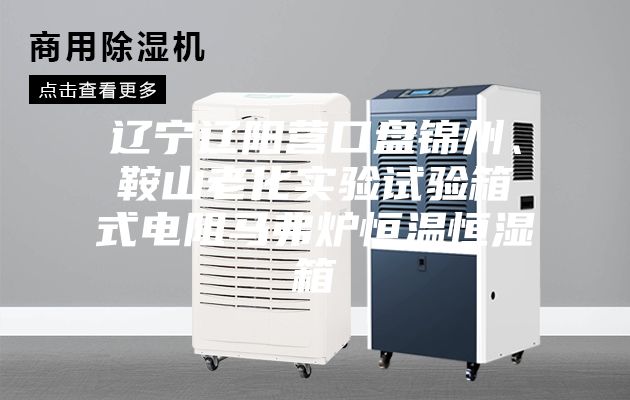 辽宁辽阳营口盘锦州、鞍山老化实验试验箱式电阻马弗炉恒温恒湿箱