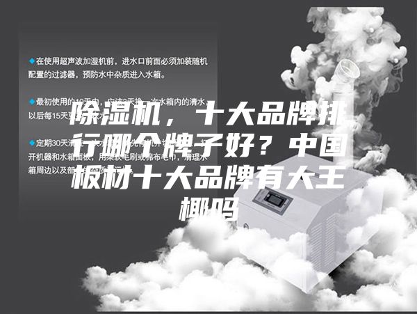 除湿机，十大品牌排行哪个牌子好？中国板材十大品牌有大王椰吗