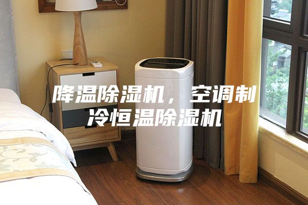降温除湿机，空调制冷恒温除湿机