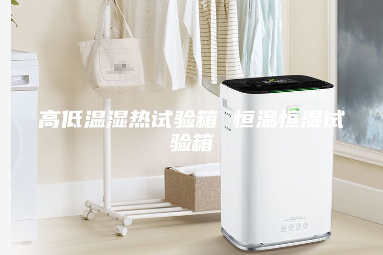 高低温湿热试验箱 恒温恒湿试验箱