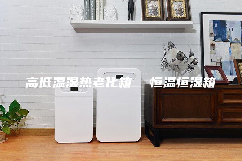 高低温湿热老化箱  恒温恒湿箱