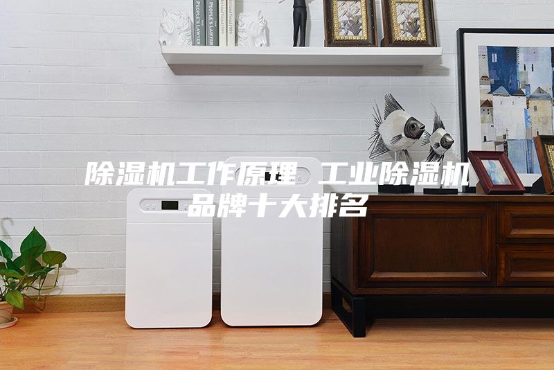 除湿机工作原理 工业除湿机品牌十大排名