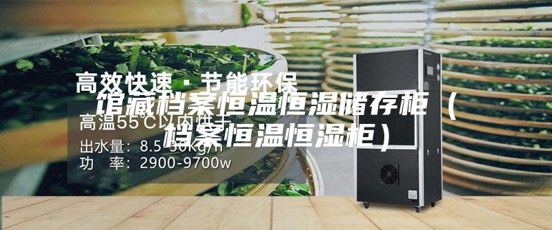馆藏档案恒温恒湿储存柜（档案恒温恒湿柜）