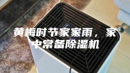 黄梅时节家家雨，家中常备除湿机