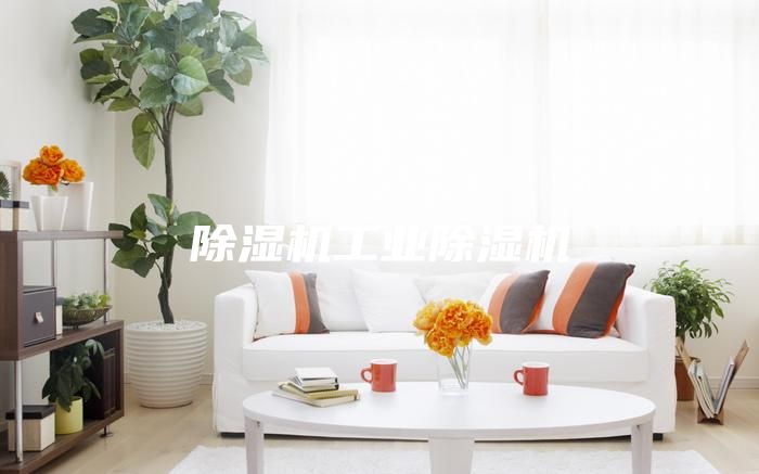 除湿机工业除湿机