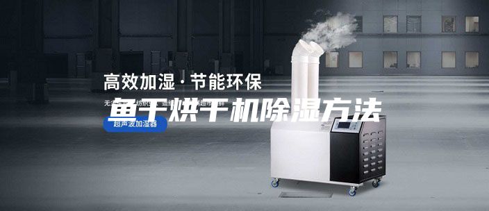 鱼干烘干机除湿方法