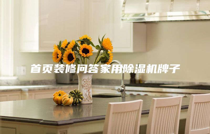 首页装修问答家用除湿机牌子