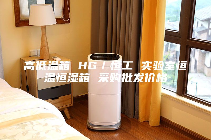 高低温箱 HG／恒工 实验室恒温恒湿箱 采购批发价格