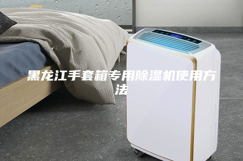 黑龙江手套箱专用除湿机使用方法