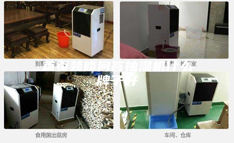 首页装修问答抽湿机什么牌子好